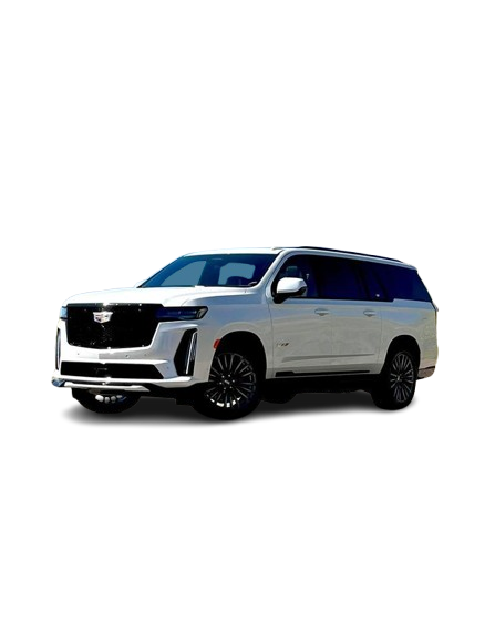 download-removebg-preview